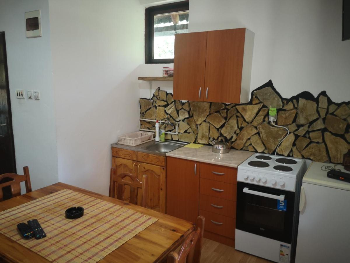 Vikendica Kod Brice Apartamento Jevtici Exterior foto