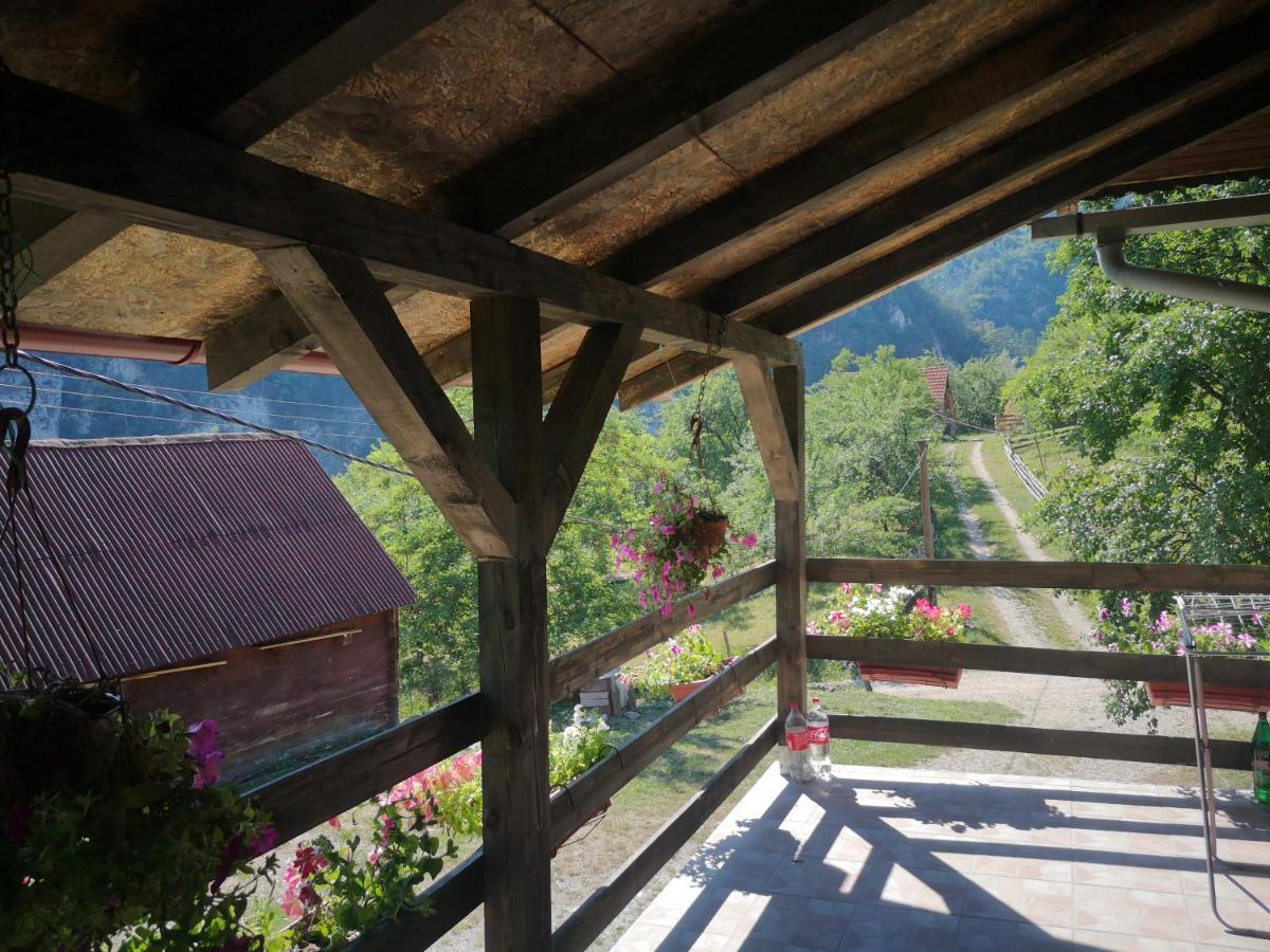 Vikendica Kod Brice Apartamento Jevtici Exterior foto
