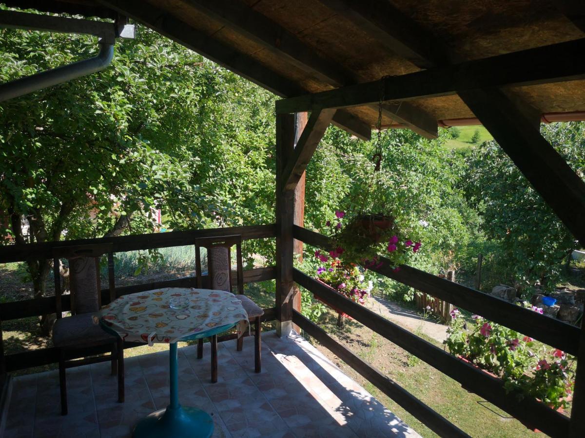 Vikendica Kod Brice Apartamento Jevtici Exterior foto