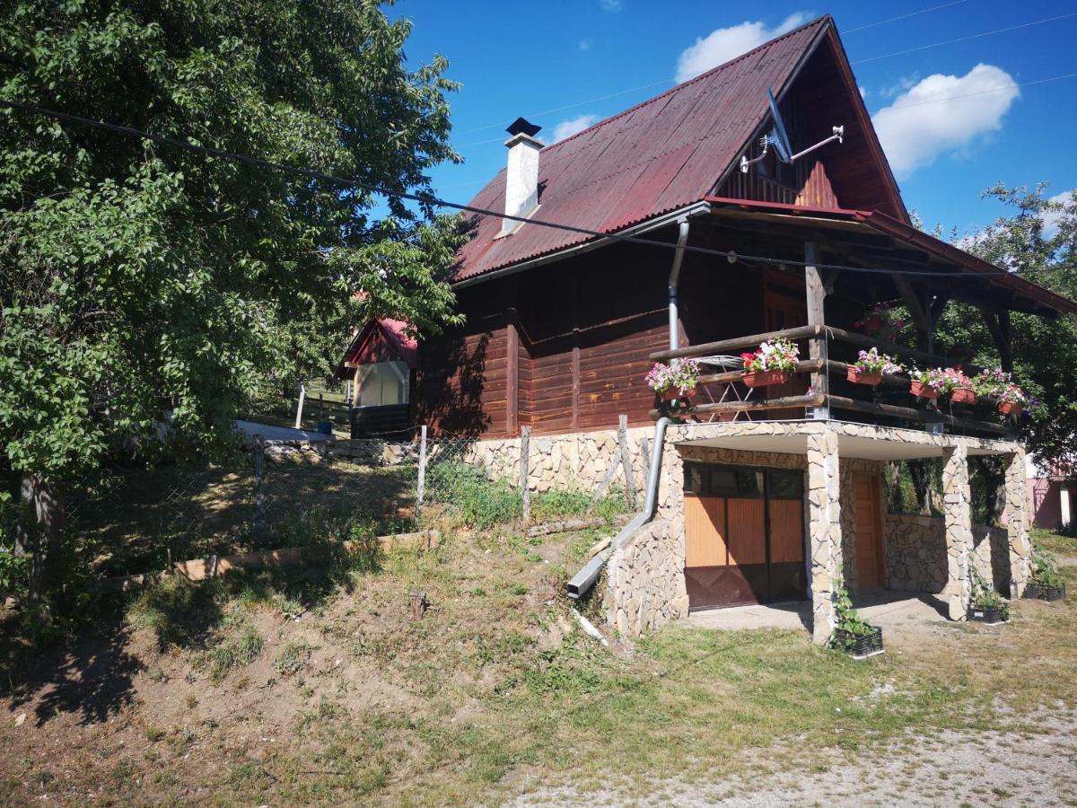 Vikendica Kod Brice Apartamento Jevtici Exterior foto